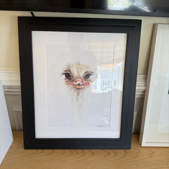 Rachel Brown Ben Ostrich Print and Frame